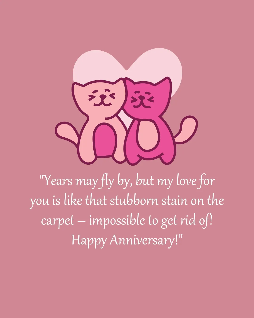 Anniversary Funny Quote