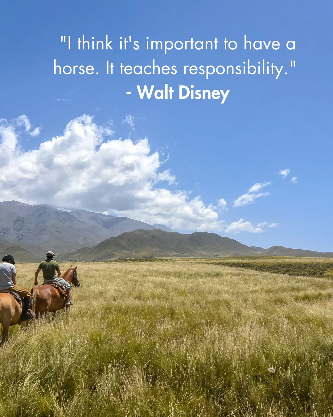 Famous Horse Quotes 1