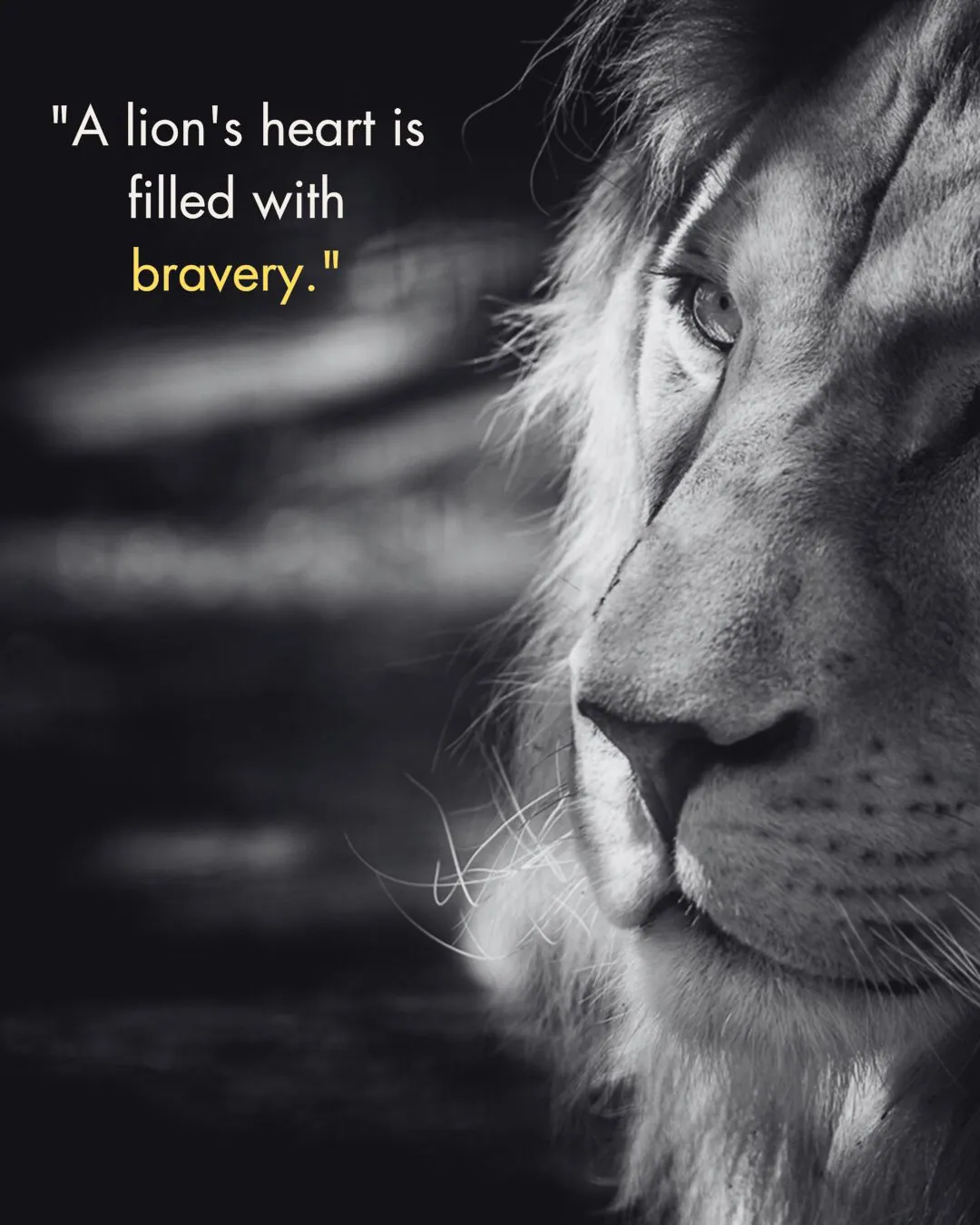 180+ Inspiring Lion Quotes to Motivate and Lead