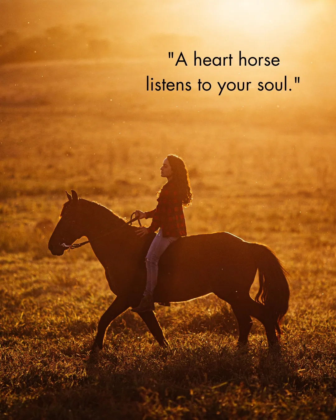 Heart Horse Quotes