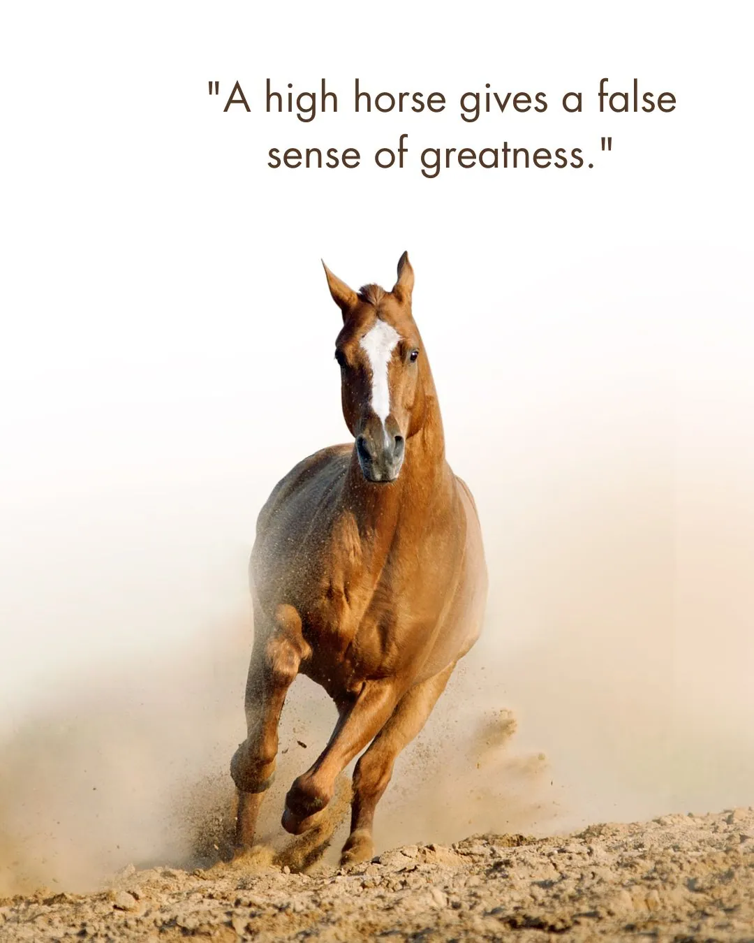 High Horse Quotes