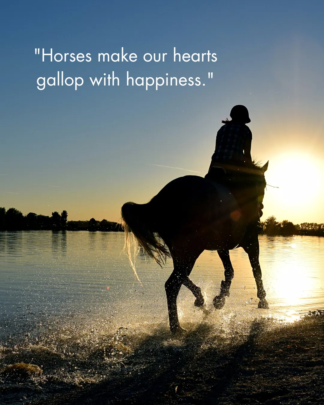 Horse Quotes About Life
