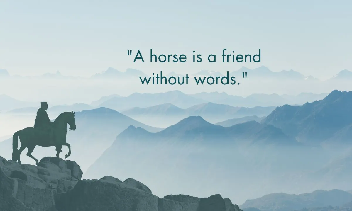 Horse Quotes for Riders And Horse Lovers