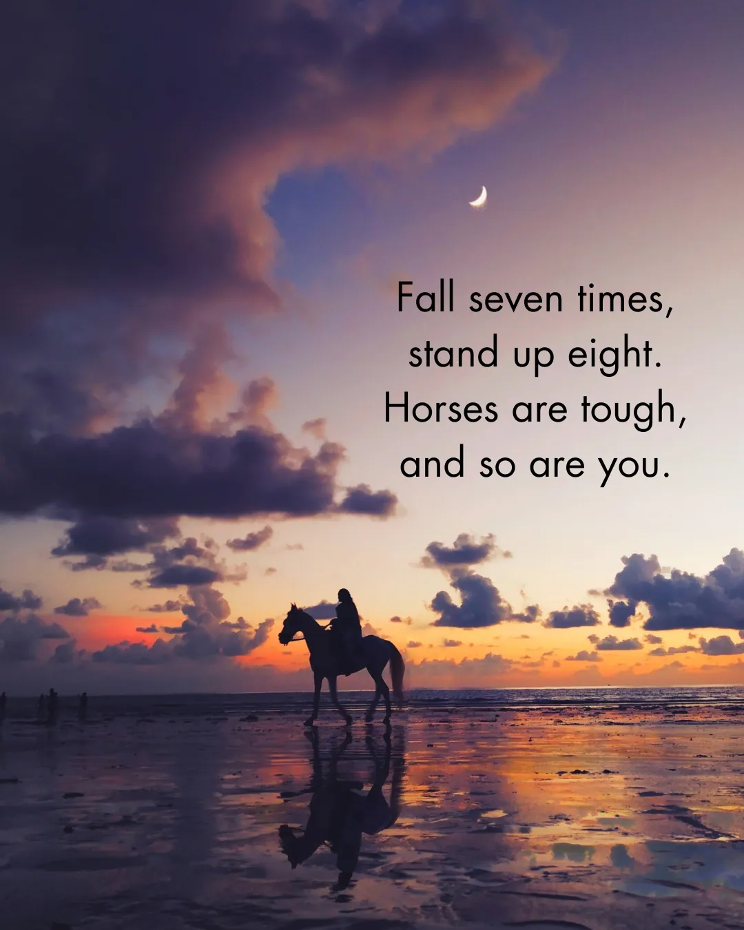 Inspirational Horse Quotes 2