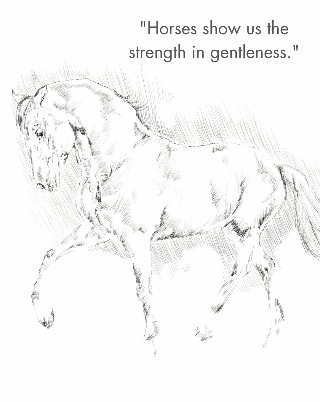 Inspirational Horse Quotes