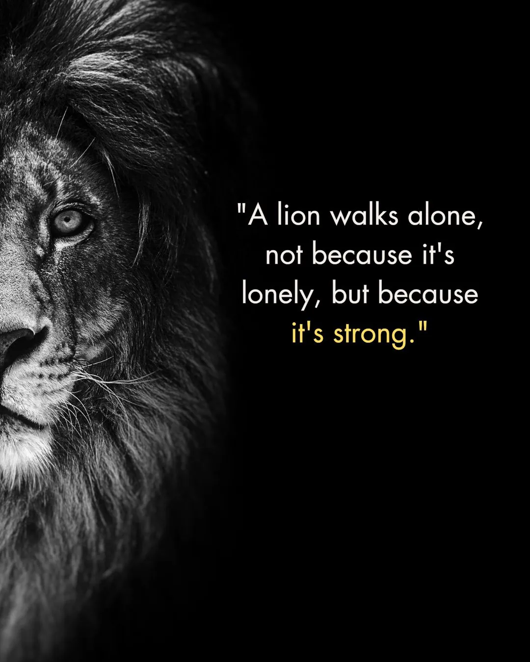 180+ Inspiring Lion Quotes to Motivate and Lead