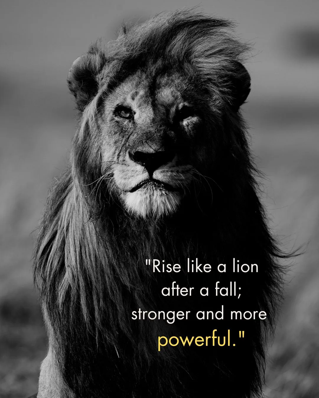 180+ Inspiring Lion Quotes to Motivate and Lead