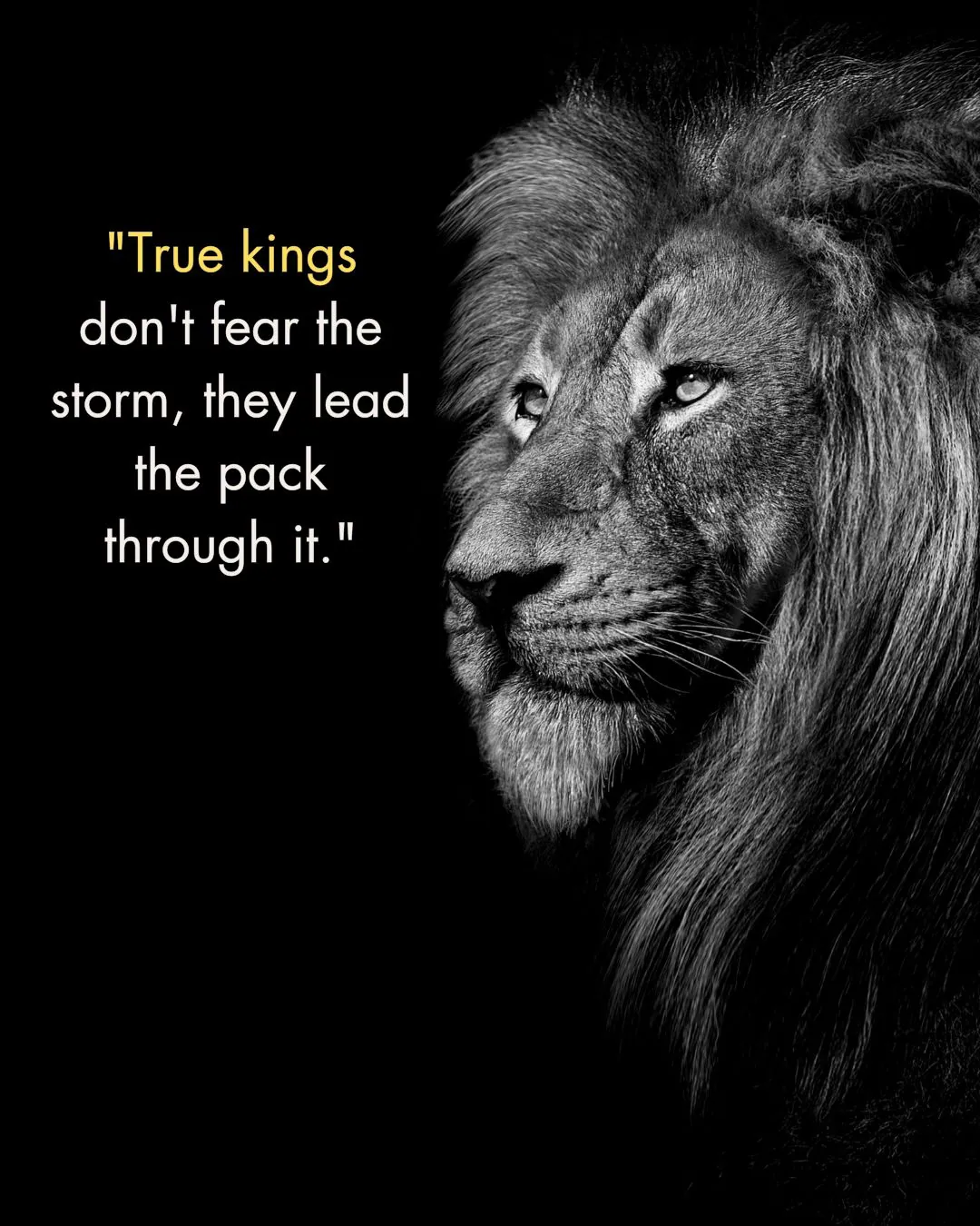 180+ Inspiring Lion Quotes to Motivate and Lead