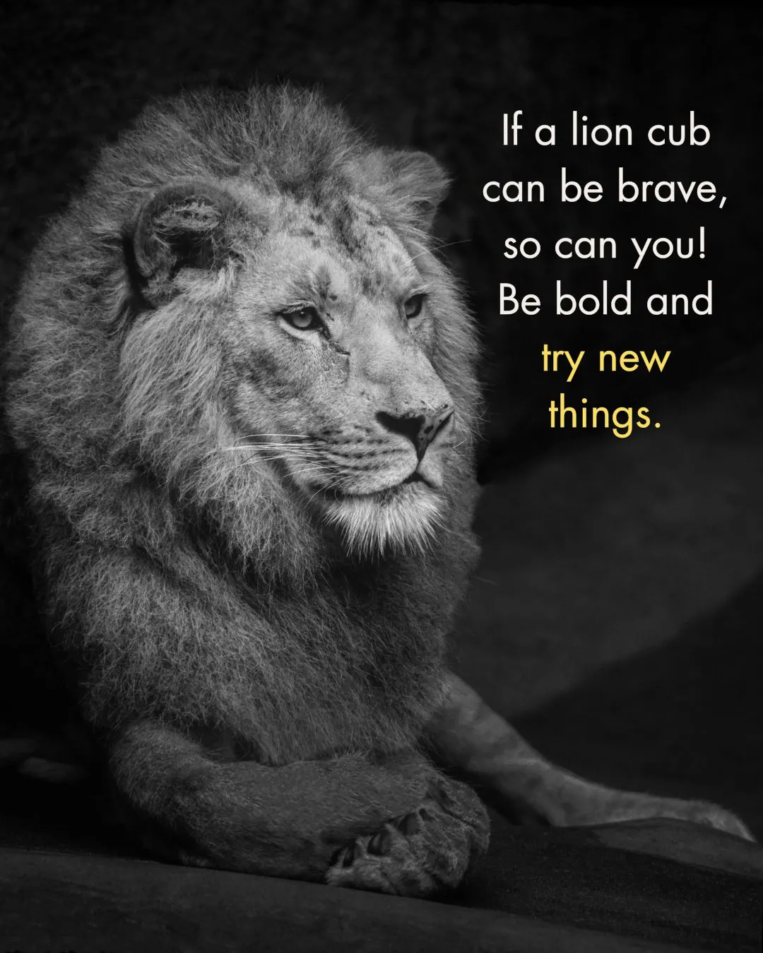 180+ Inspiring Lion Quotes to Motivate and Lead