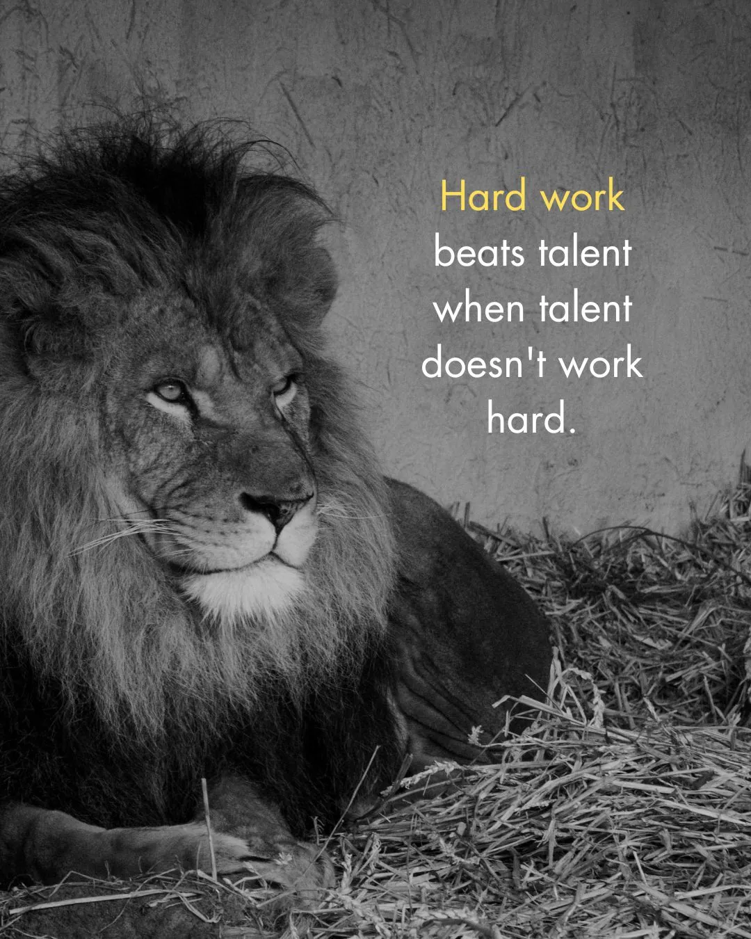 180+ Inspiring Lion Quotes to Motivate and Lead