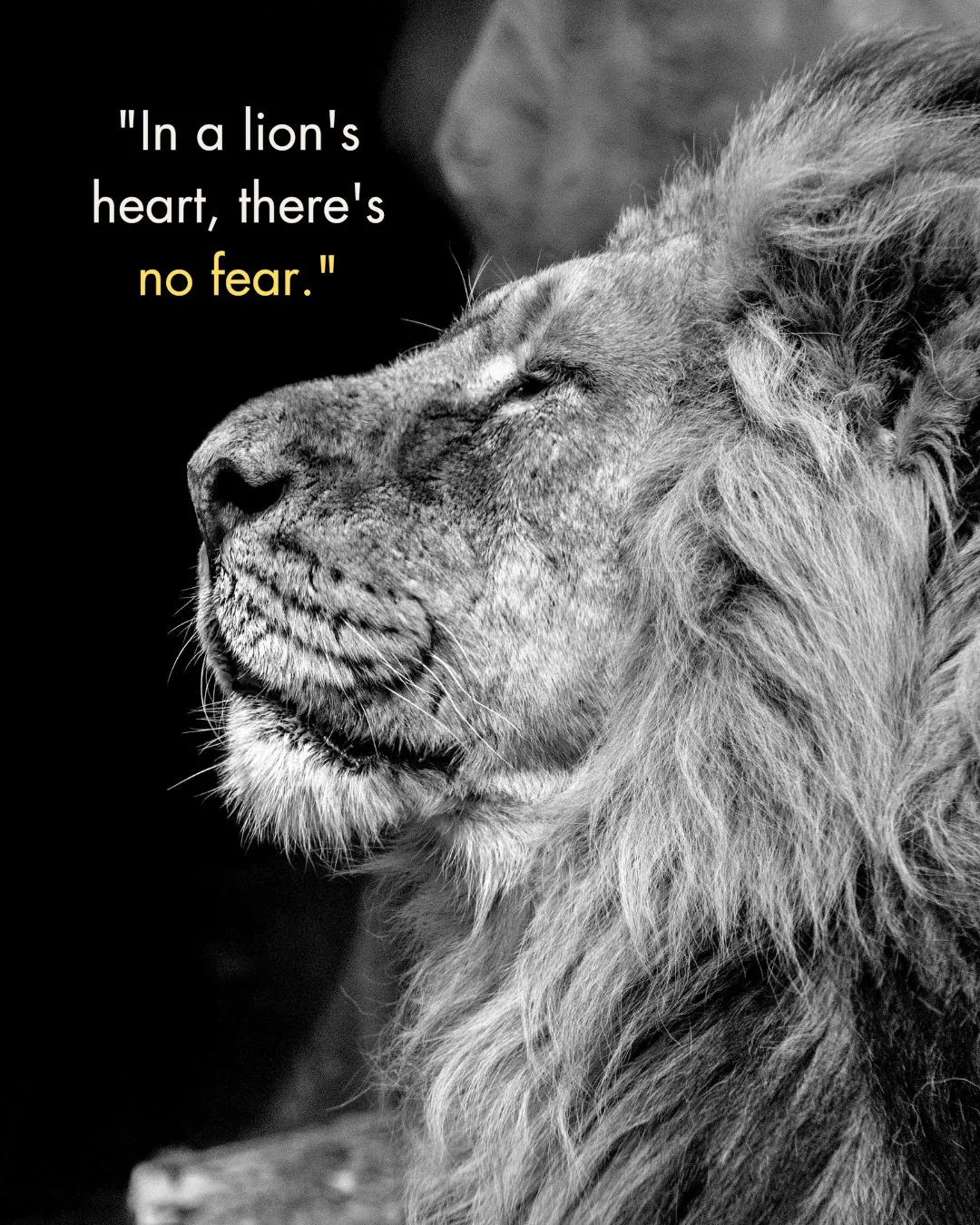 180+ Inspiring Lion Quotes to Motivate and Lead