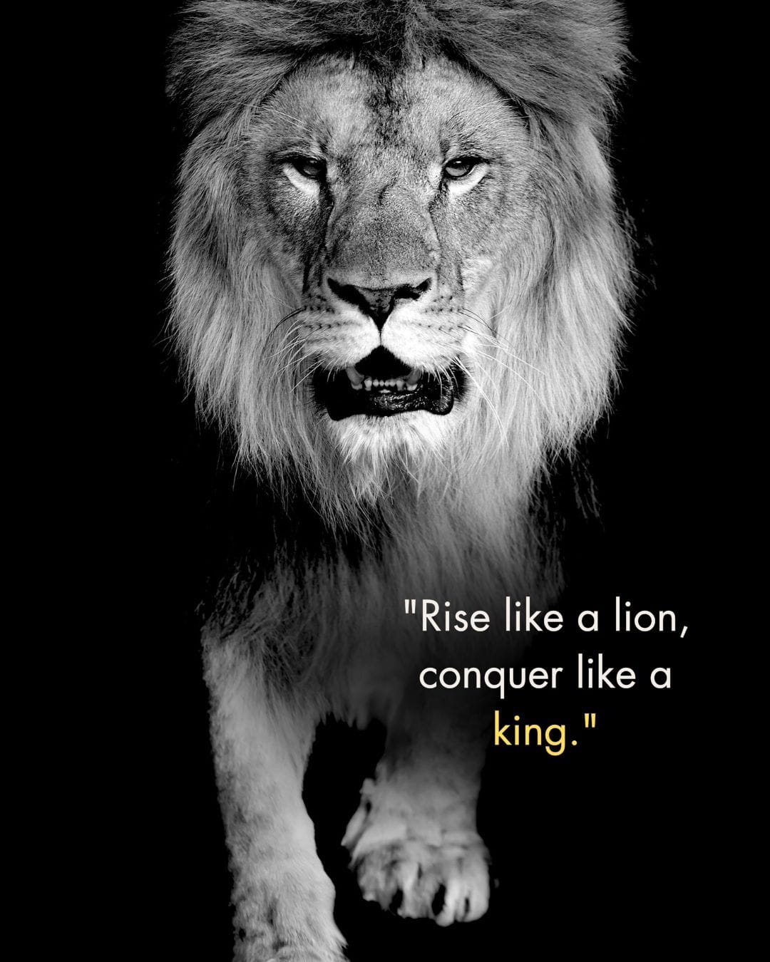 180+ Inspiring Lion Quotes to Motivate and Lead