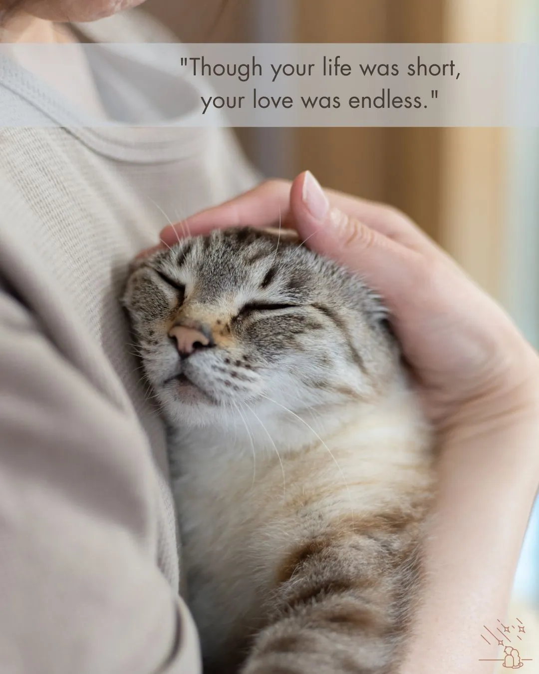 Pet Loss Quotes for Cat Image (2)