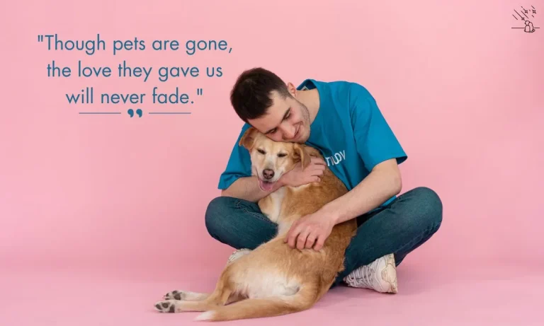 Pet Loss Quotes image